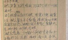 即是又是造句大全