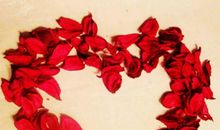 狗年情人节祝福语