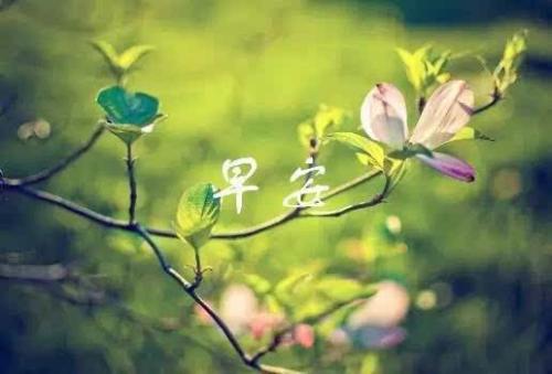 关于女孩的审美句子