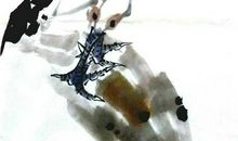 有关鸡的歇后语大全