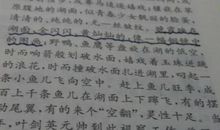 有关月光的比喻句