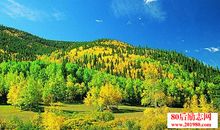 赞美美丽风景的句子