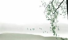 脚踩西瓜皮歇后语