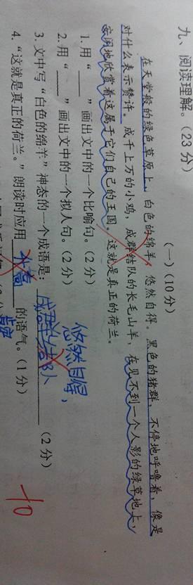 水果拟人化句子