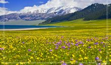 冬天美景的比喻句