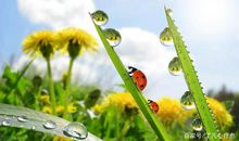 用标新立异造句大全