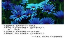 情侣间恋爱短信