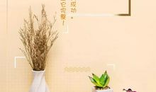 关于学习持之以恒的谚语