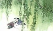 关于柳树的谚语