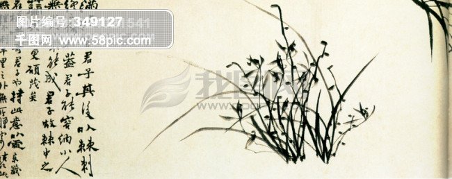 关于柳絮的寓言