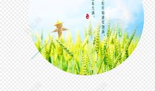 小满二十四节气谚语