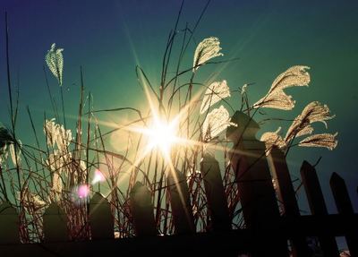 关于陪伴的简短句子