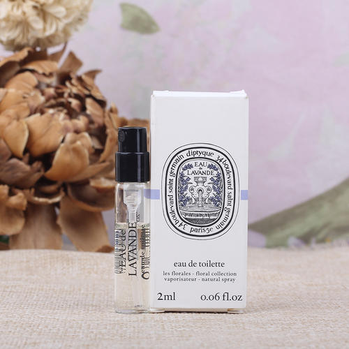 薰衣草经典线条