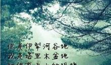 情话大全浪漫情话50字