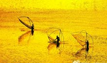 描写麦田的比喻句