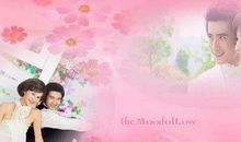 幸福爱情歌词大全