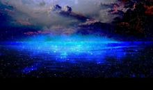 再美也美不过想象经典语录