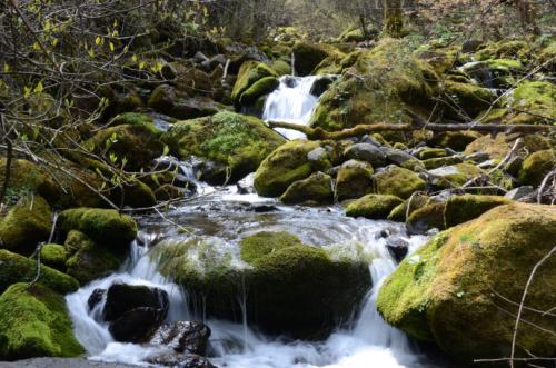看看春天的石头寓言