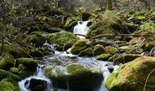 泉水里看石头歇后语