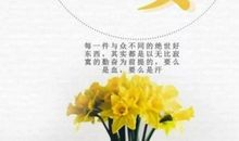 适合睡觉前的朋友圈励志说说