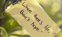 30句英语谚语初二