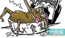 电线杆上插鸡毛歇后语