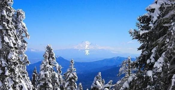 关于很冷的谚语