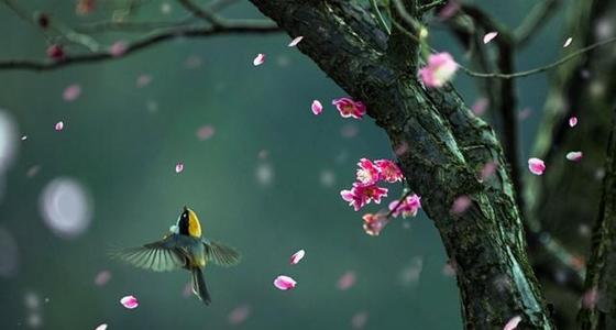 充满活力的句子