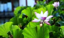 佛经中最有禅意的句子