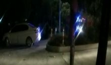 兄弟情深的谚语