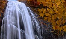 用瀑布写比喻句