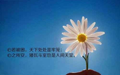 女孩正能量行情的集合