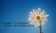 女孩子正能量语录集一句话