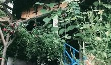 抖音上很温暖的句子