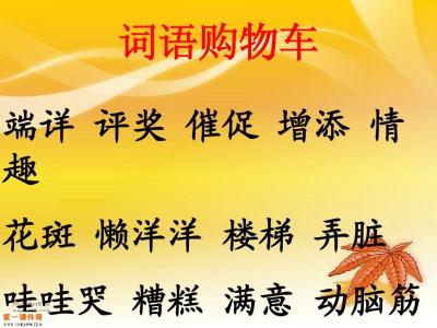 用句子详细说明