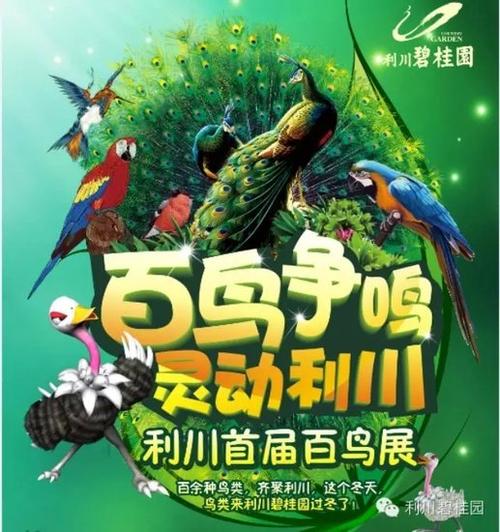 一百只鸟张开翅膀