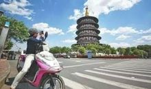 金蛋打鸟歇后语