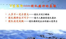 保险团队增员口号大全