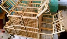 鸟笼里架凤凰歇后语