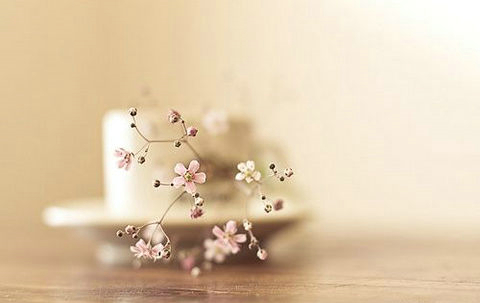 用哲理的句子生动描述:如果失败,别忘了学习课程