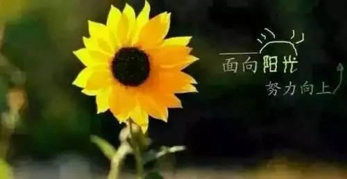 2020年最尖锐和最受欢迎的句子