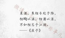 感情的句子经典名言