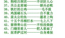 鸡蛋里面找骨头歇后语