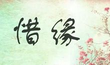 珍惜缘分的话语