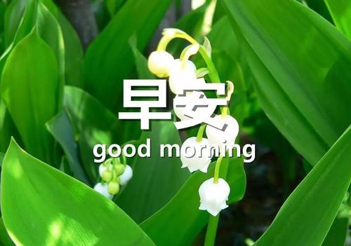 早安客户的祝福