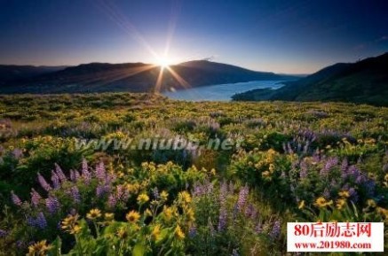 从大自然中写下美丽的句子