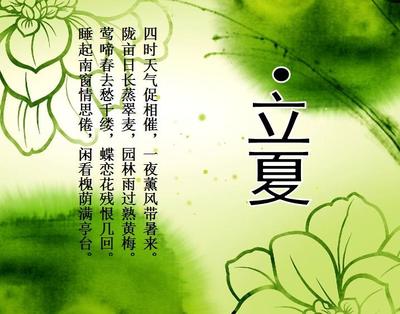 关于种树的谚语