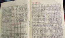 用杨树写比喻句