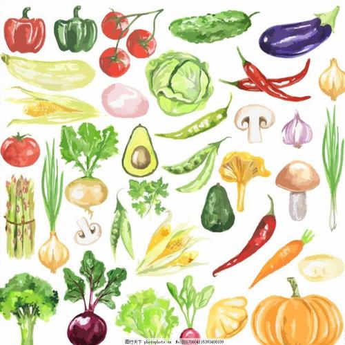 关于水果的英语谚语