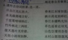 课外积累比喻句